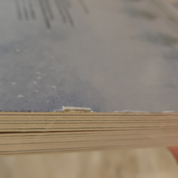 Just In Case You Ever Wonder Book - Picture 3 of 3